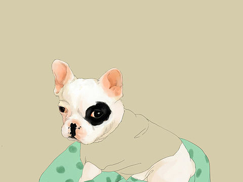 它叫BIUBIU（个人主页-ZMTUyODIwMDA=） - 新锐潮流插画 - 站酷设计师Momi123原创素材 - 站酷ZCOOL