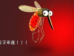 鼠绘蚊子
