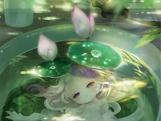 小碗莲 · 大暑茶席