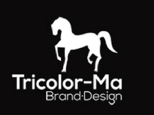 三色馬小伙伴名字（個(gè)人主頁(yè)-ZMTk3MTYwODA=） - 其他平面 - 站酷設(shè)計(jì)師小珊小珊原創(chuàng)素材 - 站酷ZCOOL