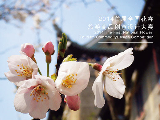 花卉旅游产品设计大赛