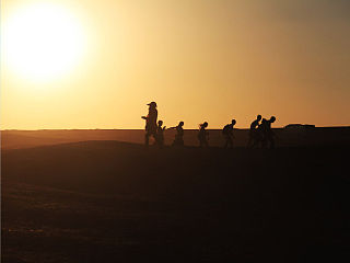 《醉卧沙场君莫笑, 古来征战几人回》 西域行