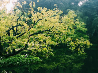 杭州印象（個人主頁-ZNzU2ODg0MA==） - 風(fēng)光攝影 - 站酷設(shè)計師倩簡單戀原創(chuàng)素材 - 站酷ZCOOL