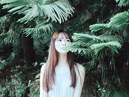 星光