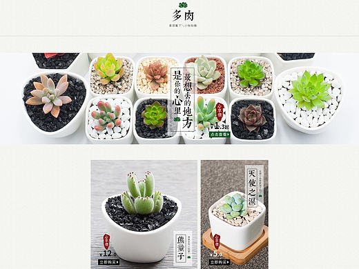 多肉植物店铺首页