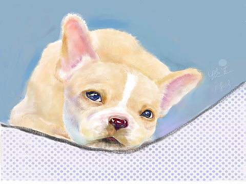 隔壁邻居家的豆包