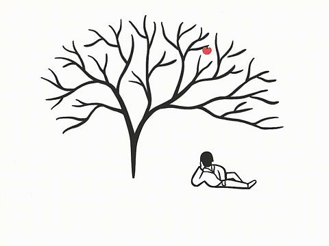 牛顿的苹果