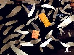 HERMES×LIGHT&nbsp;AS&nbsp;A&nbsp;FEATHER&nbsp;（2013年春夏橱窗）
