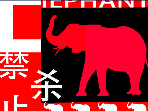 保护大象🐘