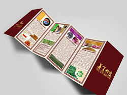 六折页八折页宣传折页设计