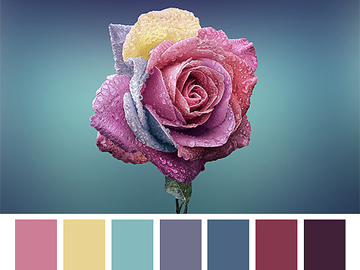 元素_创意设计作品图片素材-站酷zcool