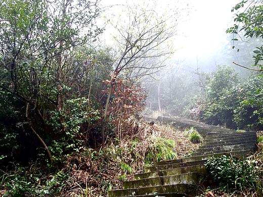 年（個人主頁-ZNzI3MTA1Ng==） - 風光攝影 - 站酷設計師SevenNicole原創(chuàng)素材 - 站酷ZCOOL