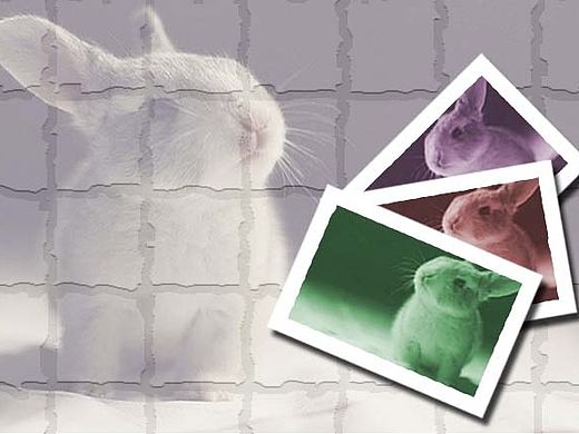 色相饱和度调节