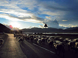 退去喧囂，我們在路上?---??西藏