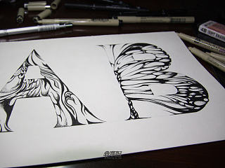 英文手绘—Animal