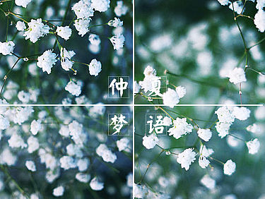 心情的扉页