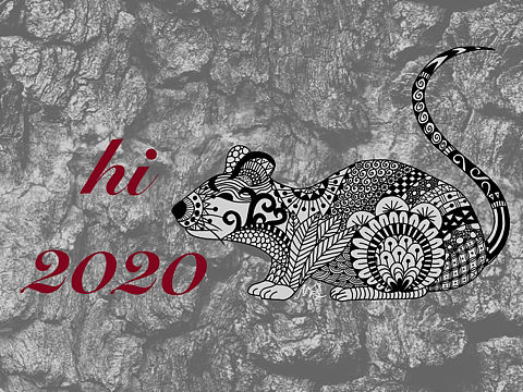 《hi，2020》