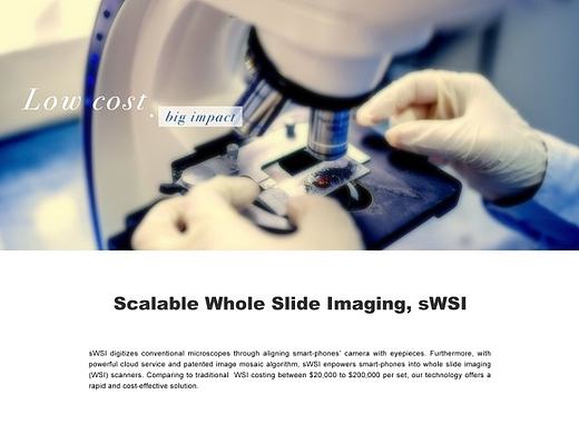 公司网站——国际版本