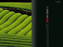 蒙顶--（包装/画册）（个人主页-ZMzMxOTQ1Ng==） - 书籍/画册 - 站酷设计师释心草原创素材 - 站酷ZCOOL