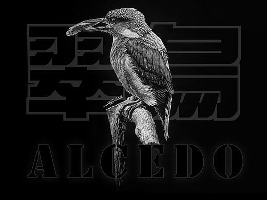 翠鳥（個(gè)人主頁-ZMjE0MDQ3NzY=） - 創(chuàng)作習(xí)作 - 站酷設(shè)計(jì)師一盒火柴原創(chuàng)素材 - 站酷ZCOOL