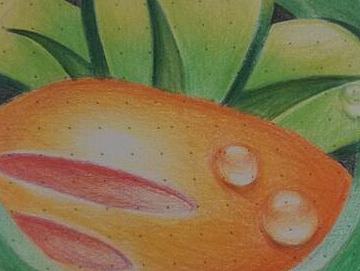 保衛(wèi)蘿卜（個人主頁-ZMTgxMTk4NzI=） - 創(chuàng)作習(xí)作 - 站酷設(shè)計師Angel穎原創(chuàng)素材 - 站酷ZCOOL