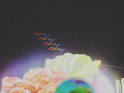 美食系列_一（個(gè)人主頁-ZNDgzOTk5ODA=） - 創(chuàng)作習(xí)作 - 站酷設(shè)計(jì)師豁達(dá)Lisa原創(chuàng)素材 - 站酷ZCOOL