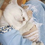 土toofer匪的头像