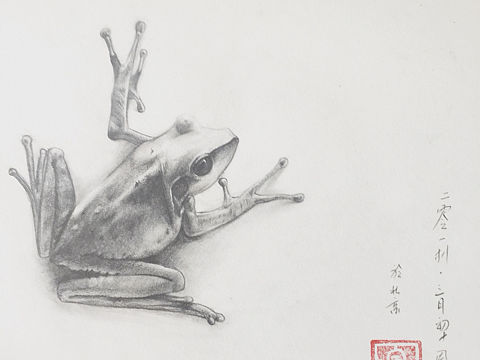一只:frog: