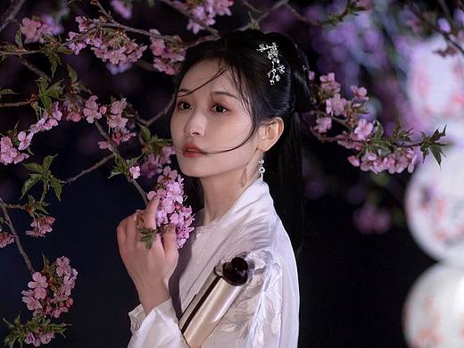 夜樱