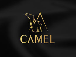 Camel logo design