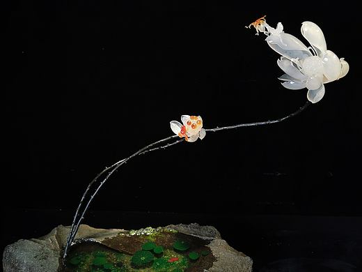 荷花