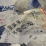 野猫爱画画的头像