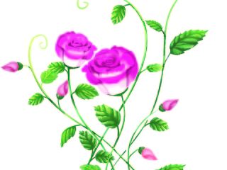 玫瑰（個人主頁-ZNDI5MDU0NA==） - 商業(yè)插畫 - 站酷設(shè)計師大M小子原創(chuàng)素材 - 站酷ZCOOL