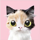 lynnlee1212的头像