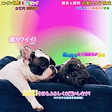 用戶頭像