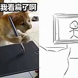 鱼小烬的头像