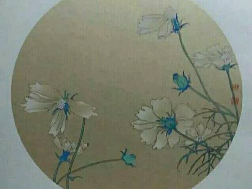《格桑花开》