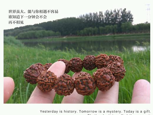 惟妙惟肖