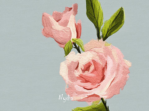玫瑰花