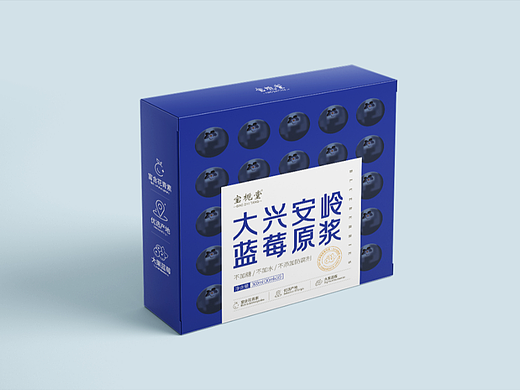 蓝莓原浆 蓝莓汁 蓝莓饮料 包装设计