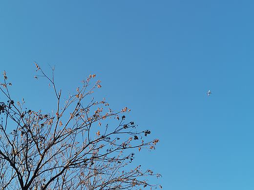 16点已过17点未到