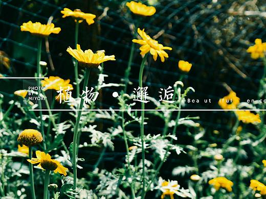 小园一隅（个人主页-ZMjIyODYyMDA=） - 风光摄影 - 站酷设计师TiTit安原创素材 - 站酷ZCOOL