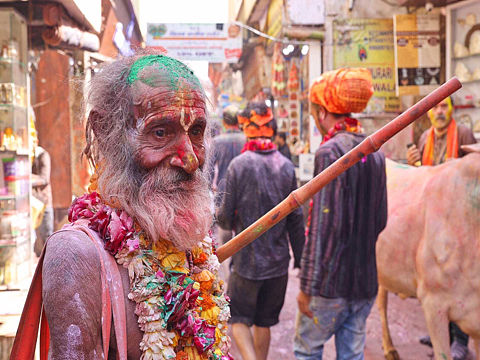 记录生活|印度洒红节