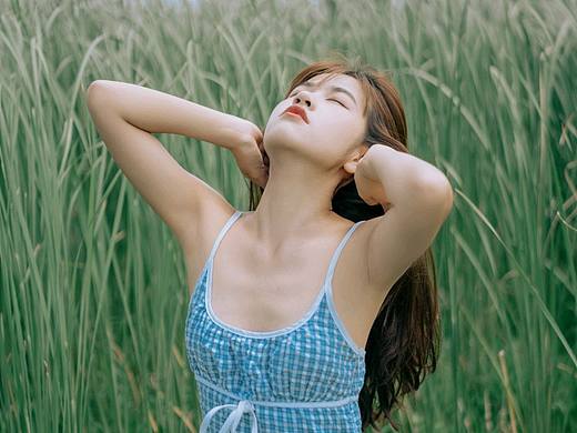 不在梦里，便在画中