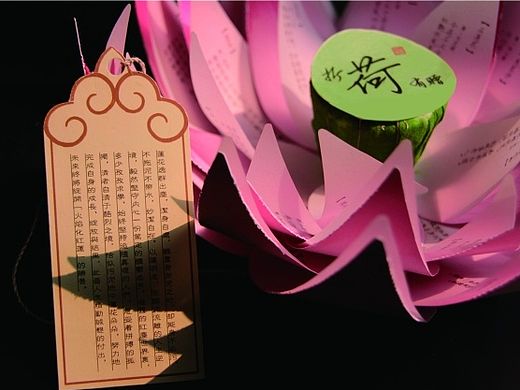 折荷有贈(zèng)（個(gè)人主頁(yè)-ZMTI0NDUzMjA=） - 書籍/畫冊(cè) - 站酷設(shè)計(jì)師yli1989原創(chuàng)素材 - 站酷ZCOOL