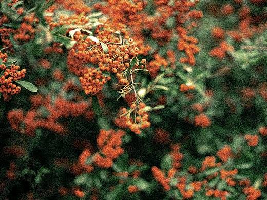 胶片#写真 #情绪