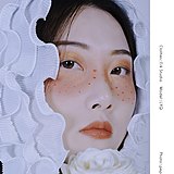 鱼旗鲤鱼旗的头像
