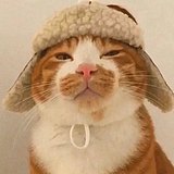 粥式生活指难的头像
