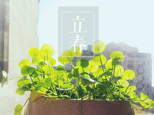 立春