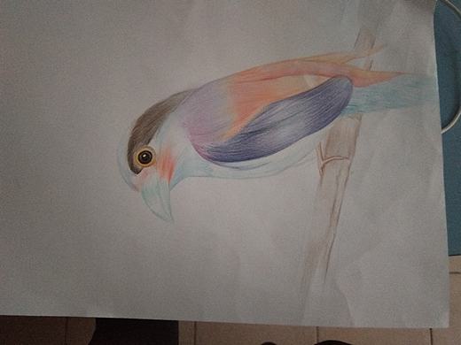 彩铅画（个人主页-ZMzk5MTAzOTI=） - 儿童插画 - 站酷设计师Z14916667原创素材 - 站酷ZCOOL